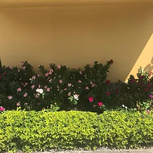 https://cityscape-at-chelsea-manor-new-kingston-studio.greaterantilleshotels.net